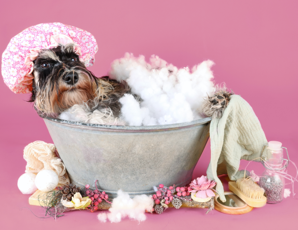 Dog in The bath with bubbles and toys