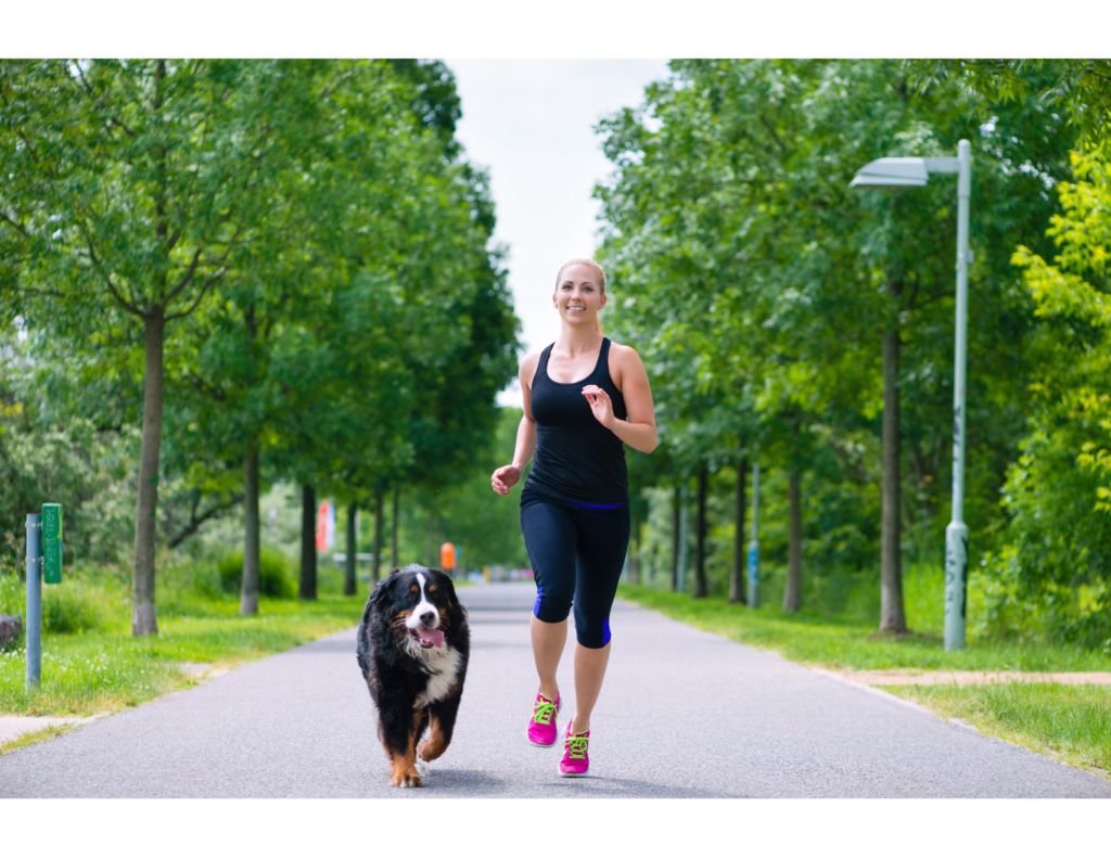 Exercising with your dog